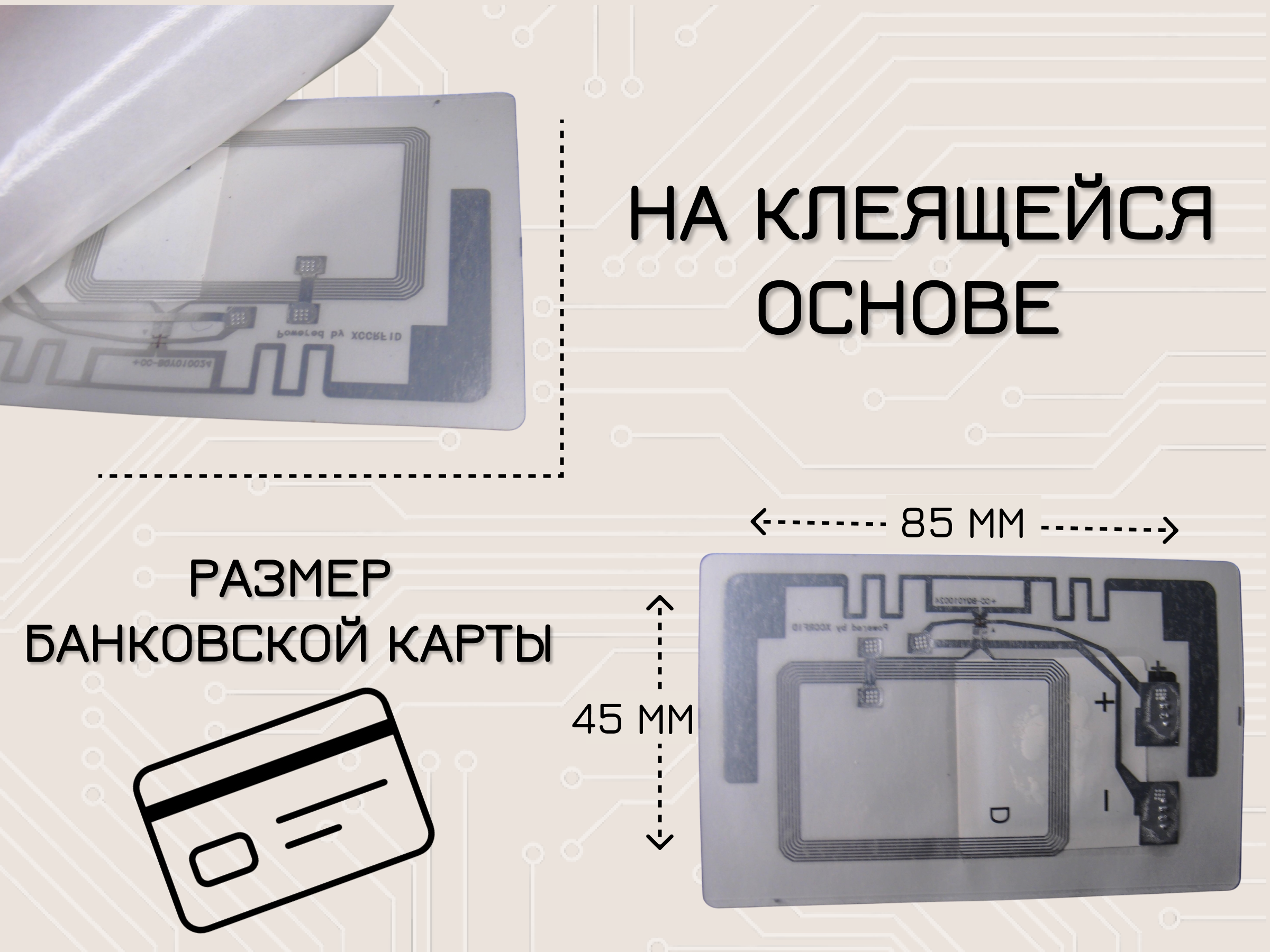 SL TLUH001B Додэка