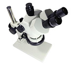 SPZT50DUNGMWOPS Carton